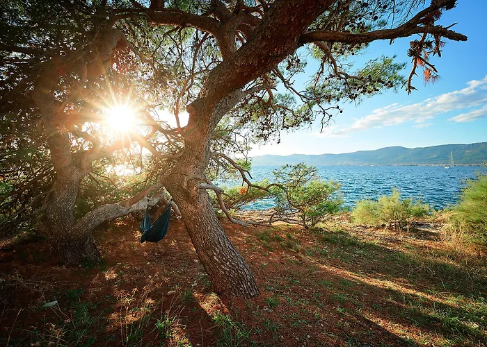 Sun Hills 8 * Split